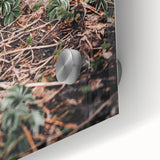 Rustic Wall Art - Green Seedlings in Nature for Farmhouse Nature Decor