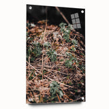 Rustic Wall Art - Green Seedlings in Nature for Farmhouse Nature Decor