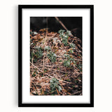 Rustic Wall Art - Green Seedlings in Nature for Farmhouse Nature Decor