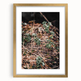 Rustic Wall Art - Green Seedlings in Nature for Farmhouse Nature Decor