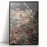 Rustic Wall Art - Green Seedlings in Nature for Farmhouse Nature Decor