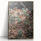 Rustic Wall Art - Green Seedlings in Nature for Farmhouse Nature Decor