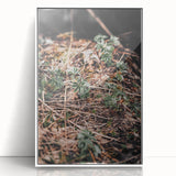 Rustic Wall Art - Green Seedlings in Nature for Farmhouse Nature Decor