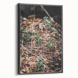 Rustic Wall Art - Green Seedlings in Nature for Farmhouse Nature Decor