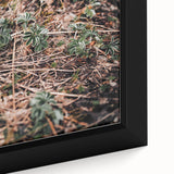 Rustic Wall Art - Green Seedlings in Nature for Farmhouse Nature Decor