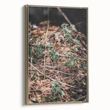 Rustic Wall Art - Green Seedlings in Nature for Farmhouse Nature Decor
