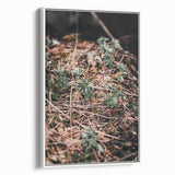 Rustic Wall Art - Green Seedlings in Nature for Farmhouse Nature Decor