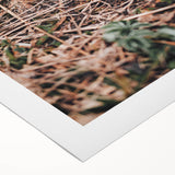 Rustic Wall Art - Green Seedlings in Nature for Farmhouse Nature Decor