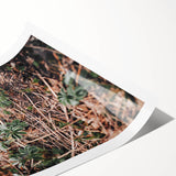 Rustic Wall Art - Green Seedlings in Nature for Farmhouse Nature Decor