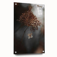 Delicate Dried Plant Art, Tranquil Rustic Wall Decor Print