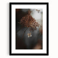 Delicate Dried Plant Art, Tranquil Rustic Wall Decor Print