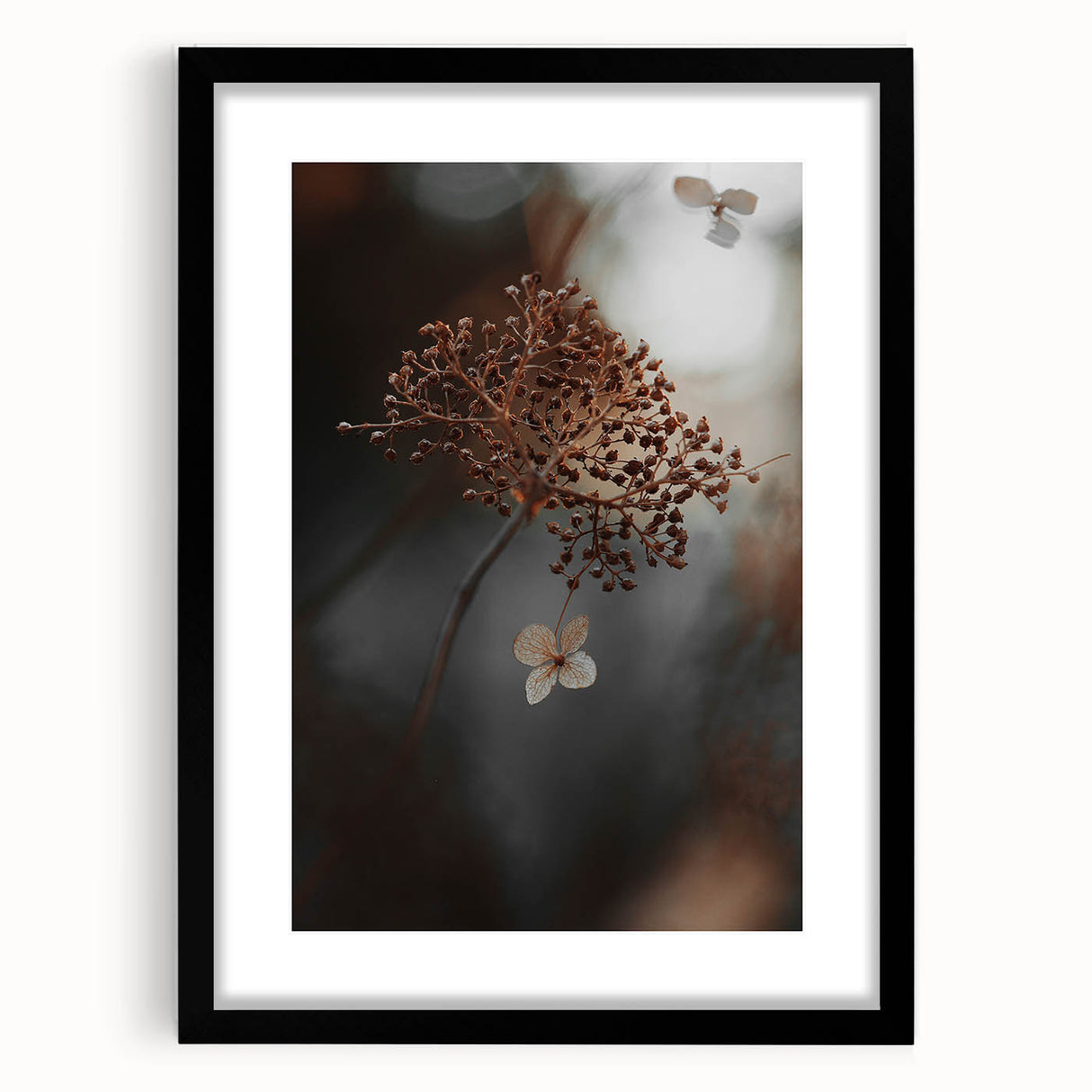 Delicate Dried Plant Art, Tranquil Rustic Wall Decor Print