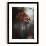 Delicate Dried Plant Art, Tranquil Rustic Wall Decor Print