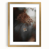 Delicate Dried Plant Art, Tranquil Rustic Wall Decor Print