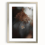 Delicate Dried Plant Art, Tranquil Rustic Wall Decor Print
