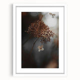 Delicate Dried Plant Art, Tranquil Rustic Wall Decor Print