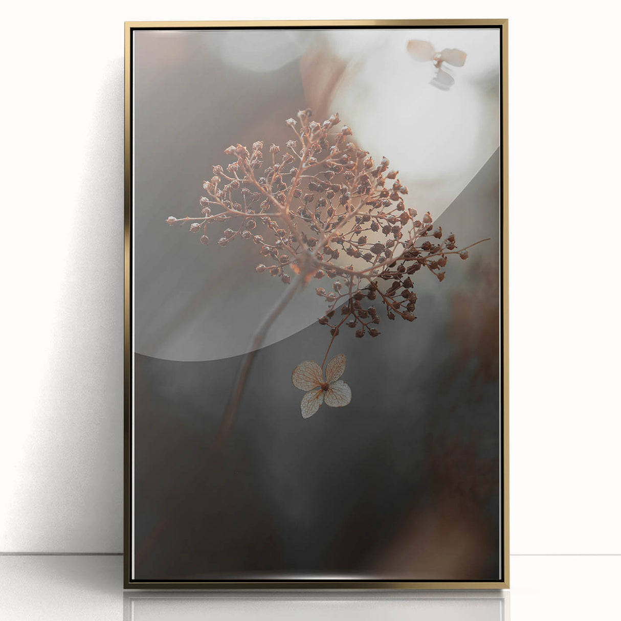 Delicate Dried Plant Art, Tranquil Rustic Wall Decor Print