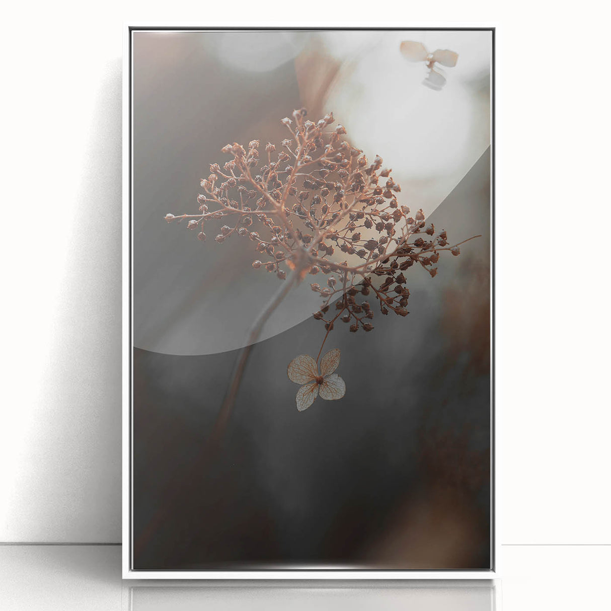 Delicate Dried Plant Art, Tranquil Rustic Wall Decor Print