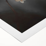 Delicate Dried Plant Art, Tranquil Rustic Wall Decor Print