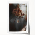 Delicate Dried Plant Art, Tranquil Rustic Wall Decor Print