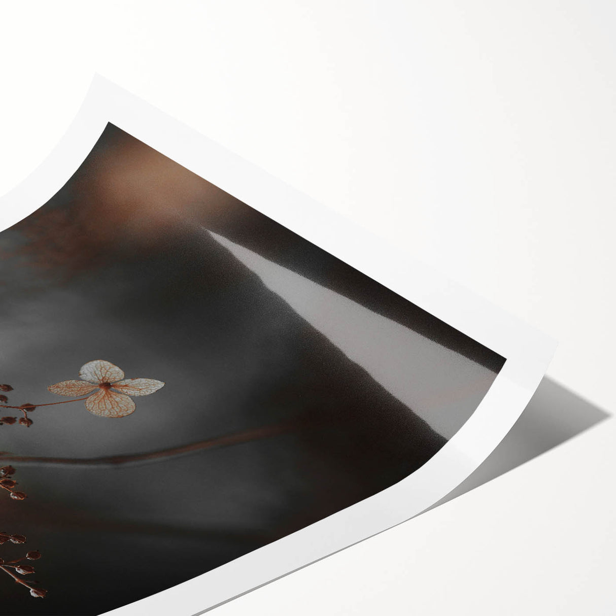 Delicate Dried Plant Art, Tranquil Rustic Wall Decor Print