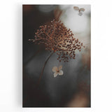 Delicate Dried Plant Art, Tranquil Rustic Wall Decor Print