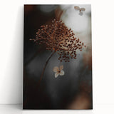 Delicate Dried Plant Art, Tranquil Rustic Wall Decor Print