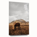 Rustic Wall Art - Wild Horse in Mountain Landscape for Farmhouse Decor