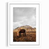Rustic Wall Art - Wild Horse in Mountain Landscape for Farmhouse Decor