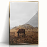 Rustic Wall Art - Wild Horse in Mountain Landscape for Farmhouse Decor