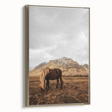 Rustic Wall Art - Wild Horse in Mountain Landscape for Farmhouse Decor