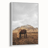 Rustic Wall Art - Wild Horse in Mountain Landscape for Farmhouse Decor