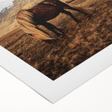 Rustic Wall Art - Wild Horse in Mountain Landscape for Farmhouse Decor