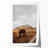 Rustic Wall Art - Wild Horse in Mountain Landscape for Farmhouse Decor