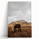 Rustic Wall Art - Wild Horse in Mountain Landscape for Farmhouse Decor