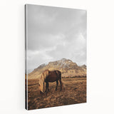 Rustic Wall Art - Wild Horse in Mountain Landscape for Farmhouse Decor