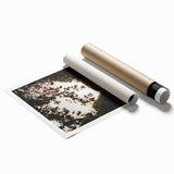 Rustic Landscape Art - Serene Country Road with Distant Red Barn