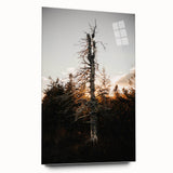 Vintage Rustic Tree Landscape - Farmhouse Wall Art