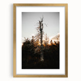 Vintage Rustic Tree Landscape - Farmhouse Wall Art