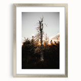 Vintage Rustic Tree Landscape - Farmhouse Wall Art