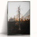 Vintage Rustic Tree Landscape - Farmhouse Wall Art