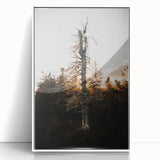 Vintage Rustic Tree Landscape - Farmhouse Wall Art