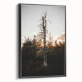 Vintage Rustic Tree Landscape - Farmhouse Wall Art