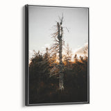 Vintage Rustic Tree Landscape - Farmhouse Wall Art