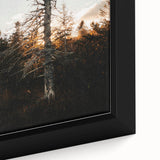 Vintage Rustic Tree Landscape - Farmhouse Wall Art