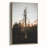 Vintage Rustic Tree Landscape - Farmhouse Wall Art