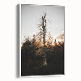 Vintage Rustic Tree Landscape - Farmhouse Wall Art