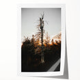 Vintage Rustic Tree Landscape - Farmhouse Wall Art