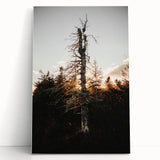 Vintage Rustic Tree Landscape - Farmhouse Wall Art