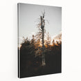 Vintage Rustic Tree Landscape - Farmhouse Wall Art